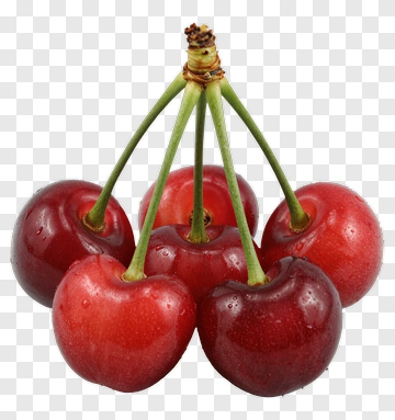 Fresh Cherries With Stems PNG