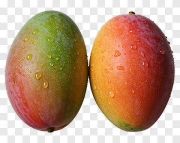 Two Ripe Mangoes With Water Droplets PNG