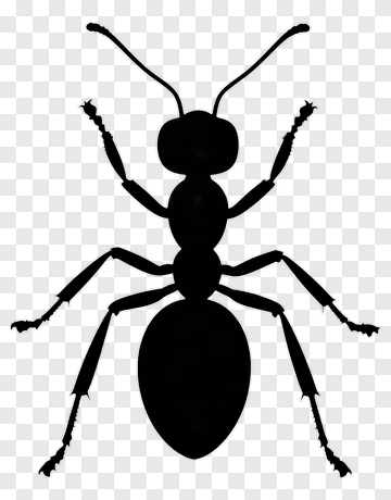 Ant Silhouette PNG