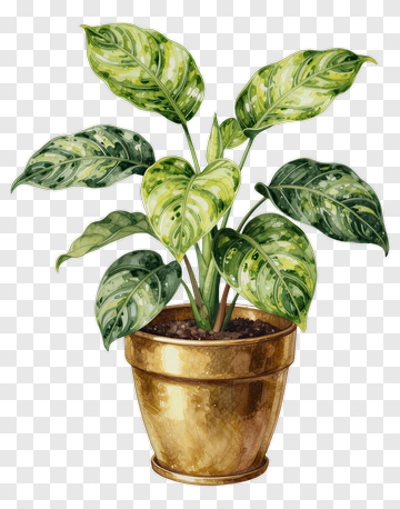 Watercolor Potted Plant With Gold Pot PNG