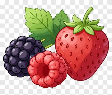 Strawberry Blackberry Raspberry PNG