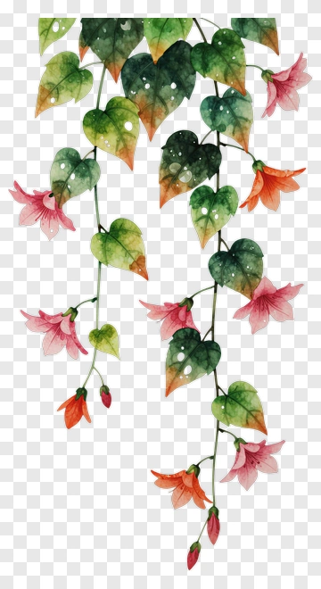Vine With Pink And Orange Flowers PNG