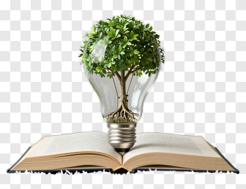Tree Growing Inside Light Bulb On Book PNG