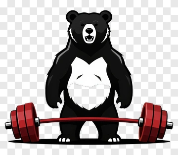 Bear Lifting Barbell PNG