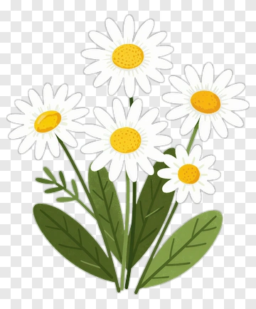Daisy Flower Bunch PNG