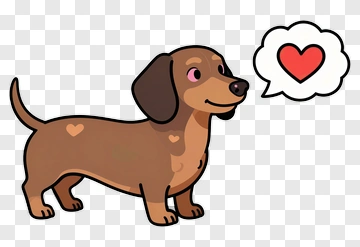 Cute Dachshund With Heart Thought Bubble PNG