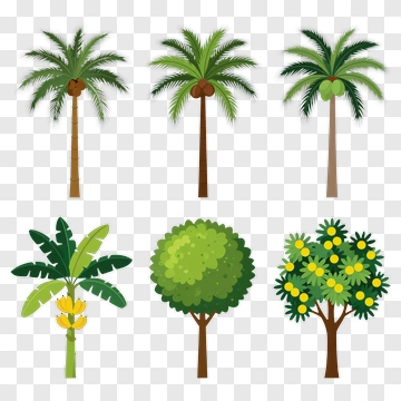 Tropical Trees With Fruit And Leaves PNG