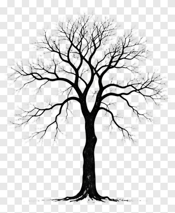 Tree PNG