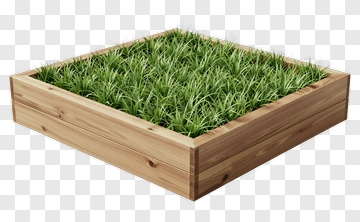 Wooden Planter With Fresh Grass PNG