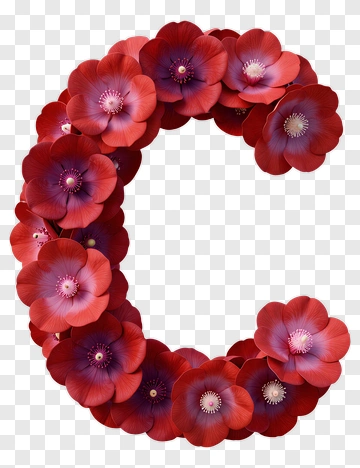Letter C Made Of Red Flowers PNG