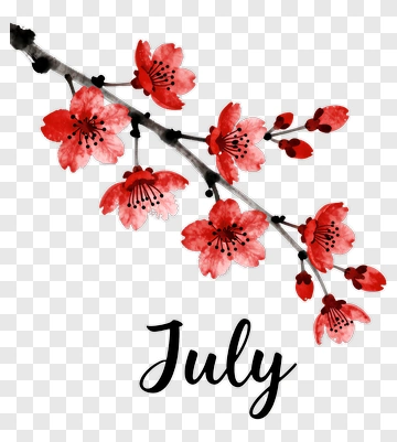 July Cherry Blossom PNG