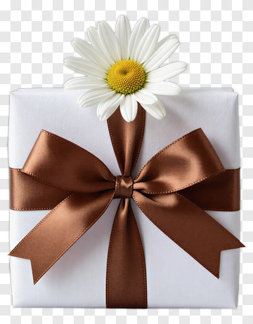 White Gift Box With Daisy And Brown Ribbon PNG