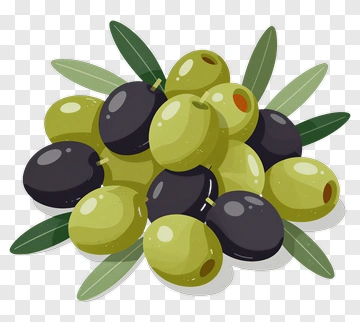Olive And Olive Branch PNG