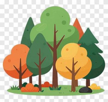 Colorful Forest With Autumn Trees PNG