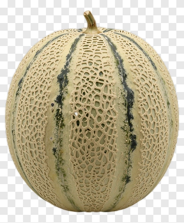 Melon PNG