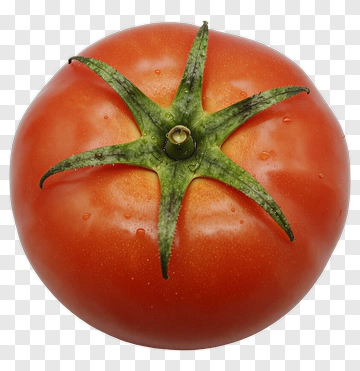 Fresh Tomato With Green Stem PNG