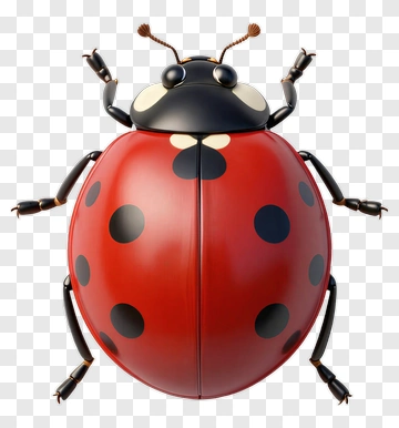 Red Ladybug With Black Spots PNG