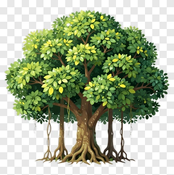 Banyan Tree With Lush Canopy PNG