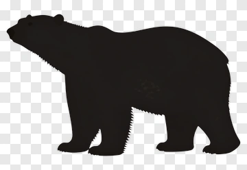 Bear Silhouette PNG