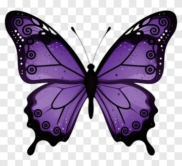 Purple Butterfly With Black Outline PNG