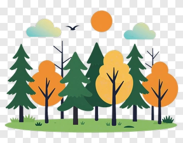 Forest With Autumn Trees PNG