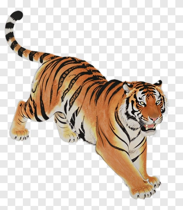 Tiger PNG