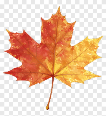 Autumn Maple Leaf PNG
