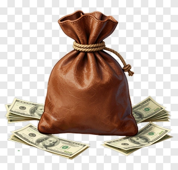 Leather Money Bag With US Dollar Bills PNG