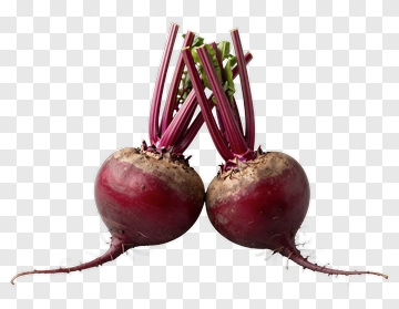 Two Fresh Beetroots With Stems And Leaves PNG