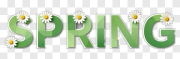 Spring Lettering With Daisy Flowers PNG