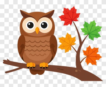 Cartoon Owl Perched On Branch PNG