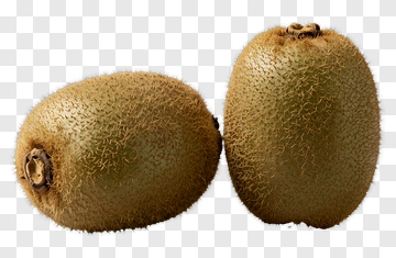 Two Kiwi Fruits PNG