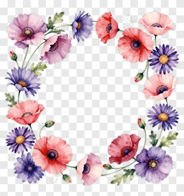Watercolor Poppy And Daisy Frame PNG