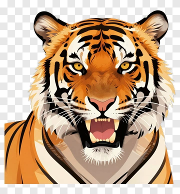 Tiger PNG