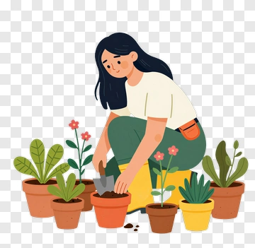 Woman Gardening With Potted Plants PNG