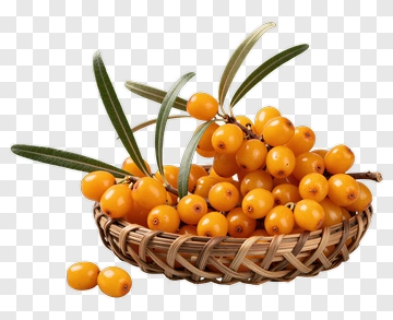 Sea Buckthorn Berries In Wicker Basket PNG