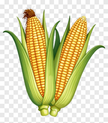 Corn With Green Leaves And Tassel PNG