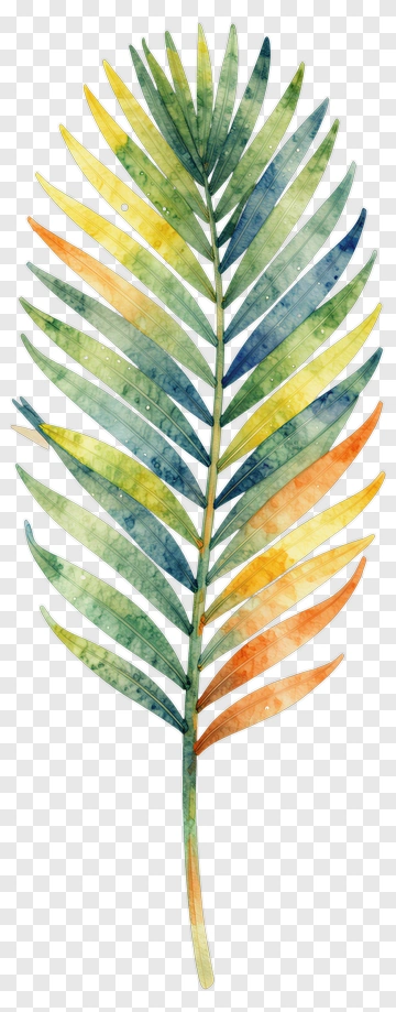 Watercolor Palm Leaf PNG
