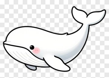 Cute Whale PNG