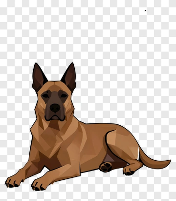 Belgian Malinois Lying Down PNG