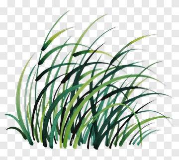 Watercolor Grass PNG