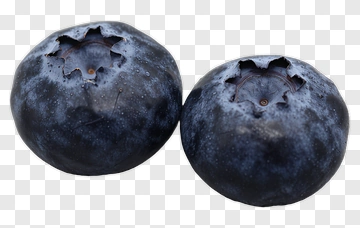 Two Blueberries PNG