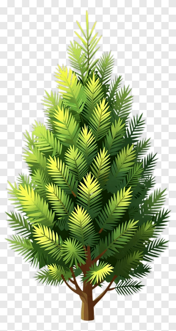 Pine Tree PNG