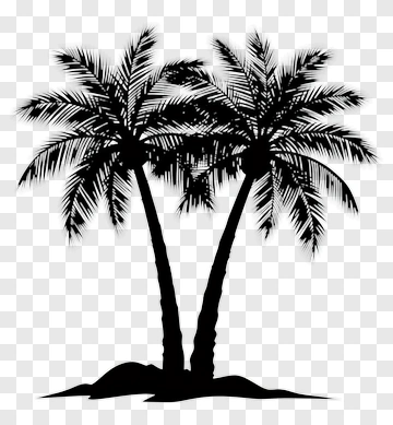 Two Palm Trees Silhouette PNG