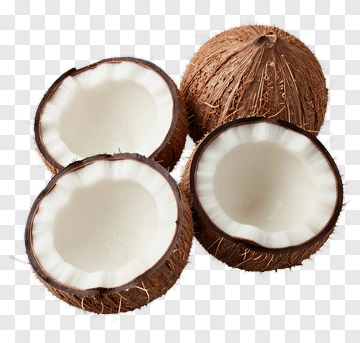 Coconut PNG