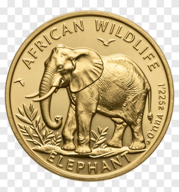 Gold Coin Featuring African Elephant PNG