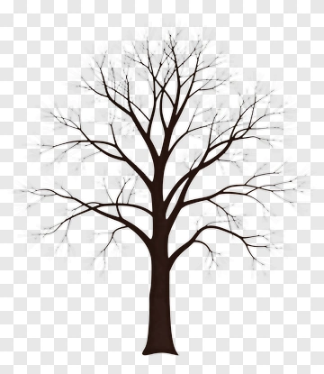 Silhouette Of A Bare Tree PNG