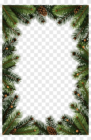 Framed Pine Branches With Pine Cones PNG