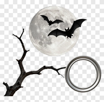 Bats Flying Near Full Moon PNG