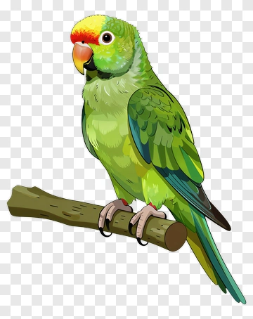 Green Parrot Perching On Branch PNG